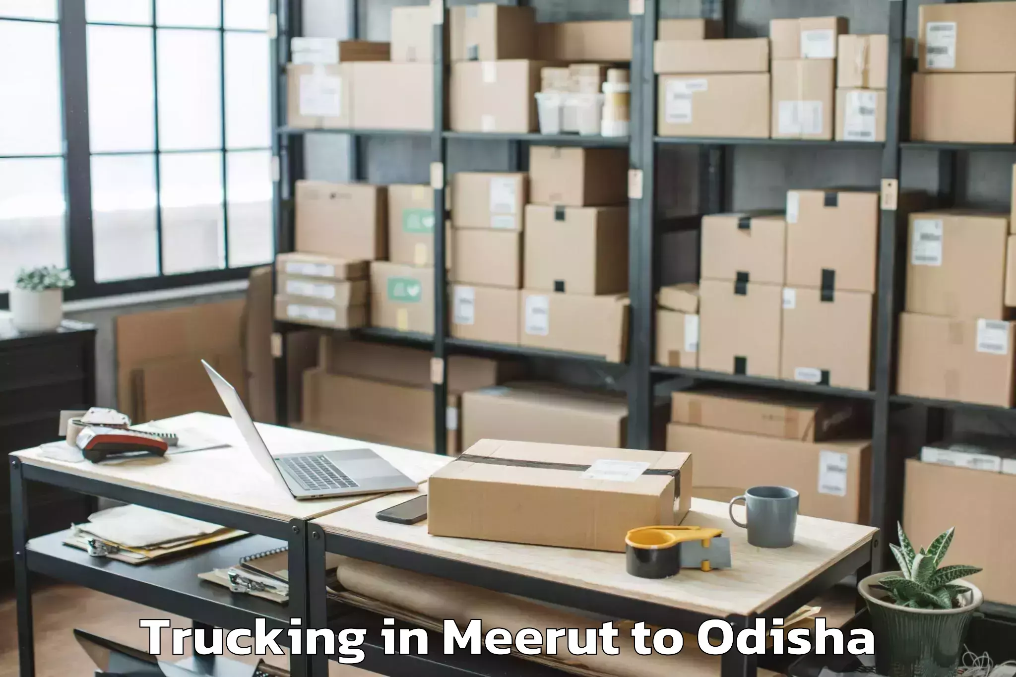 Easy Meerut to Dhanupali Trucking Booking